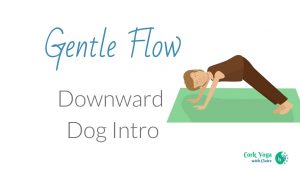 Gentle Flow 2.3