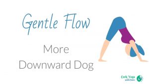 Gentle Flow 2.4