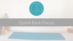 Quick Back Focus - 12 mins
