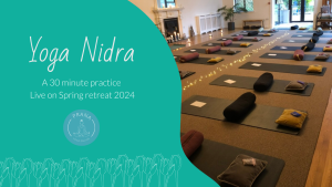 Yoga Nidra - Retreat for 30 mins